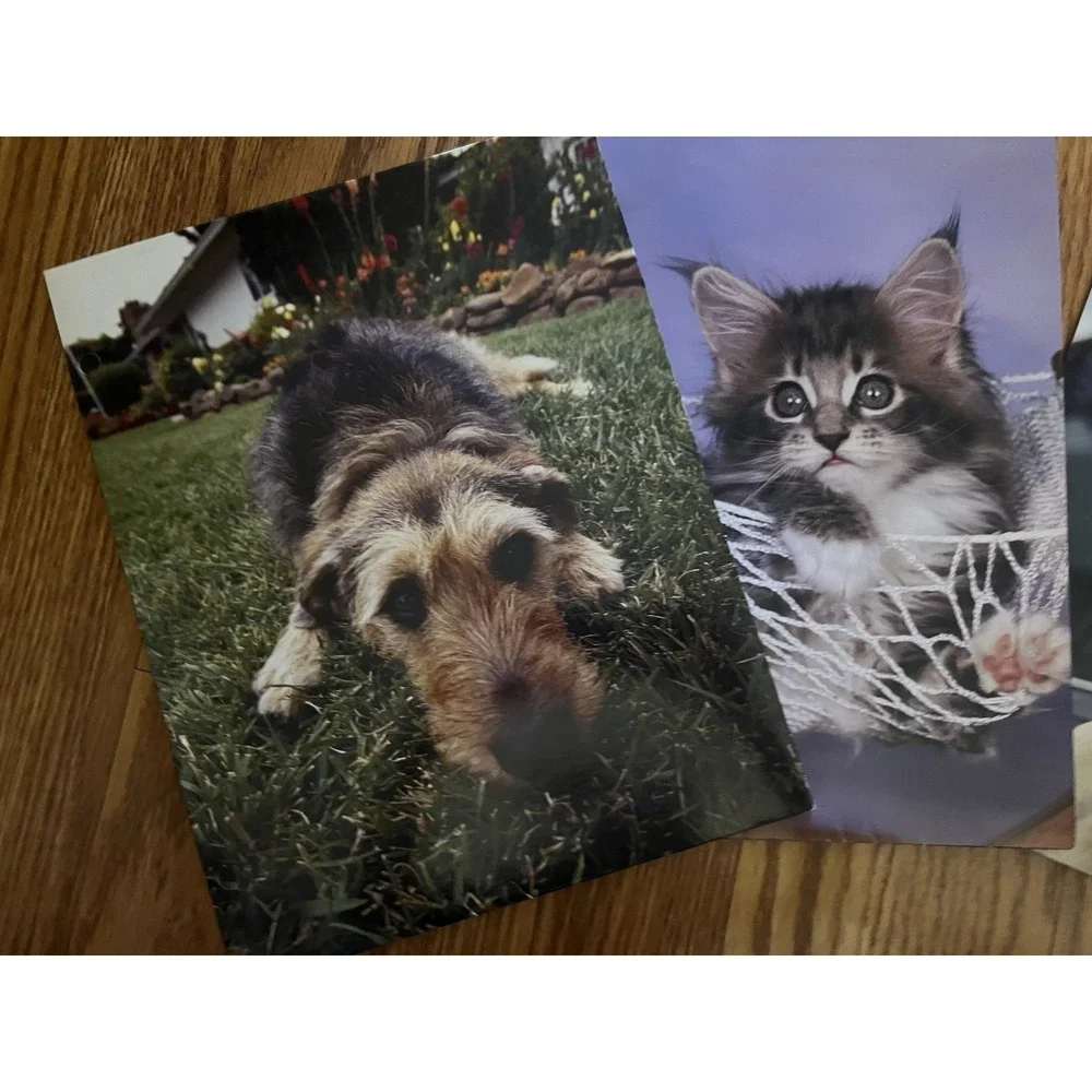 Mead Portfolio School Folders Vintage 2003 Pet Theme Retro Cute Dog Cat Set Of 4